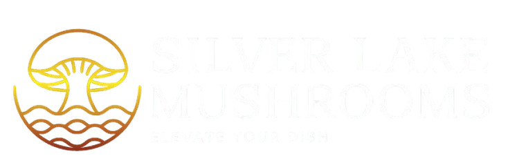 32463426346324636314t5342 removebg preview