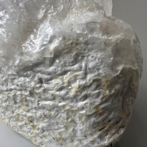 premium colonized grain spawn bags 4.5 lb oat with sawdust (rye is available upon request)