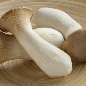 King Trumpet Mushroom