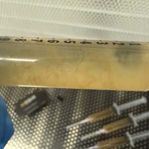 silverlake mushrooms – premium liquid culture syringes (12ml)