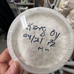 fully colonized agar plate cultures — premium genetics for serious growers